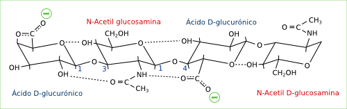 stucture-chimique-acide-hyaluronique